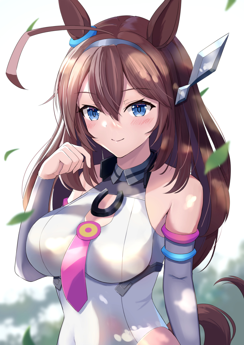 Mihono Bourbon (Mb-19890425) (Umamusume) Rule 34 Image