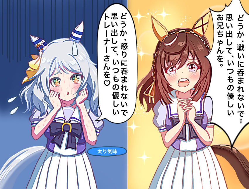 Buena Vista (Umamusume) Rule 34 Image