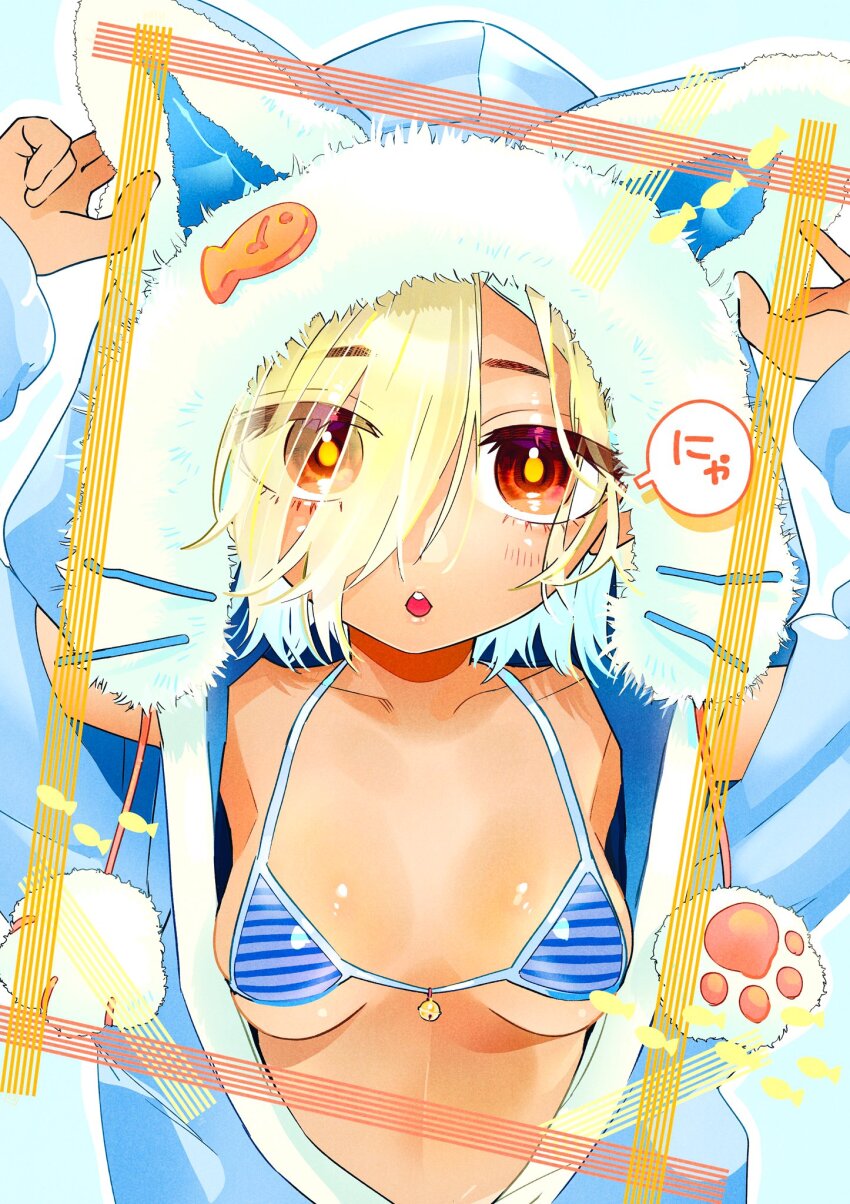Cat Day Rule 34 Image