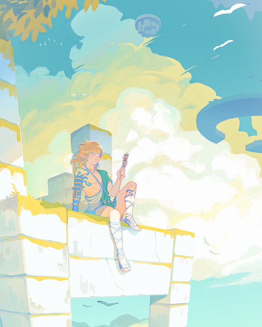 Link (Nintendo) Rule 34 Image