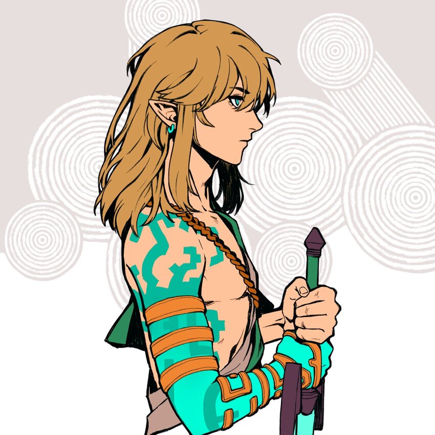 Link (Nintendo) Rule 34 Image