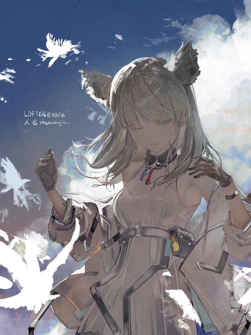 Perlica (Arknights) Rule 34 Image