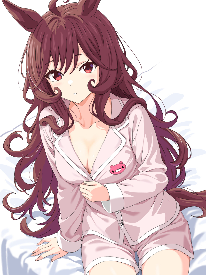 Gentildonna (Umamusume) Rule 34 Image