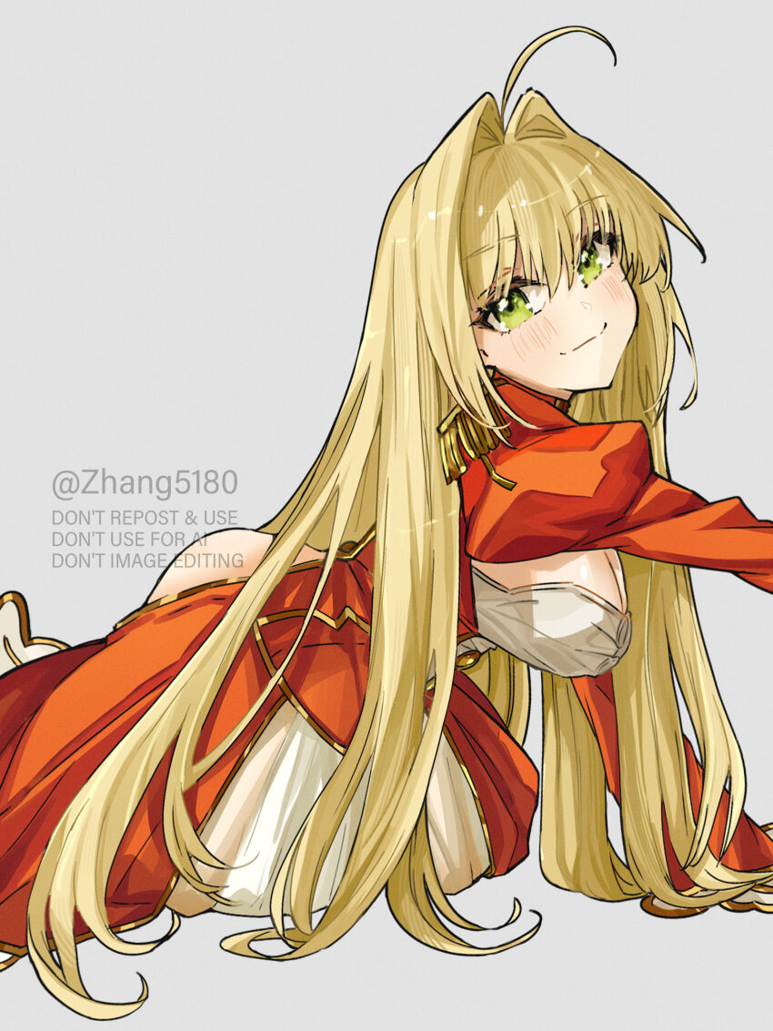 Nero Claudius (Fate) Rule 34 Image