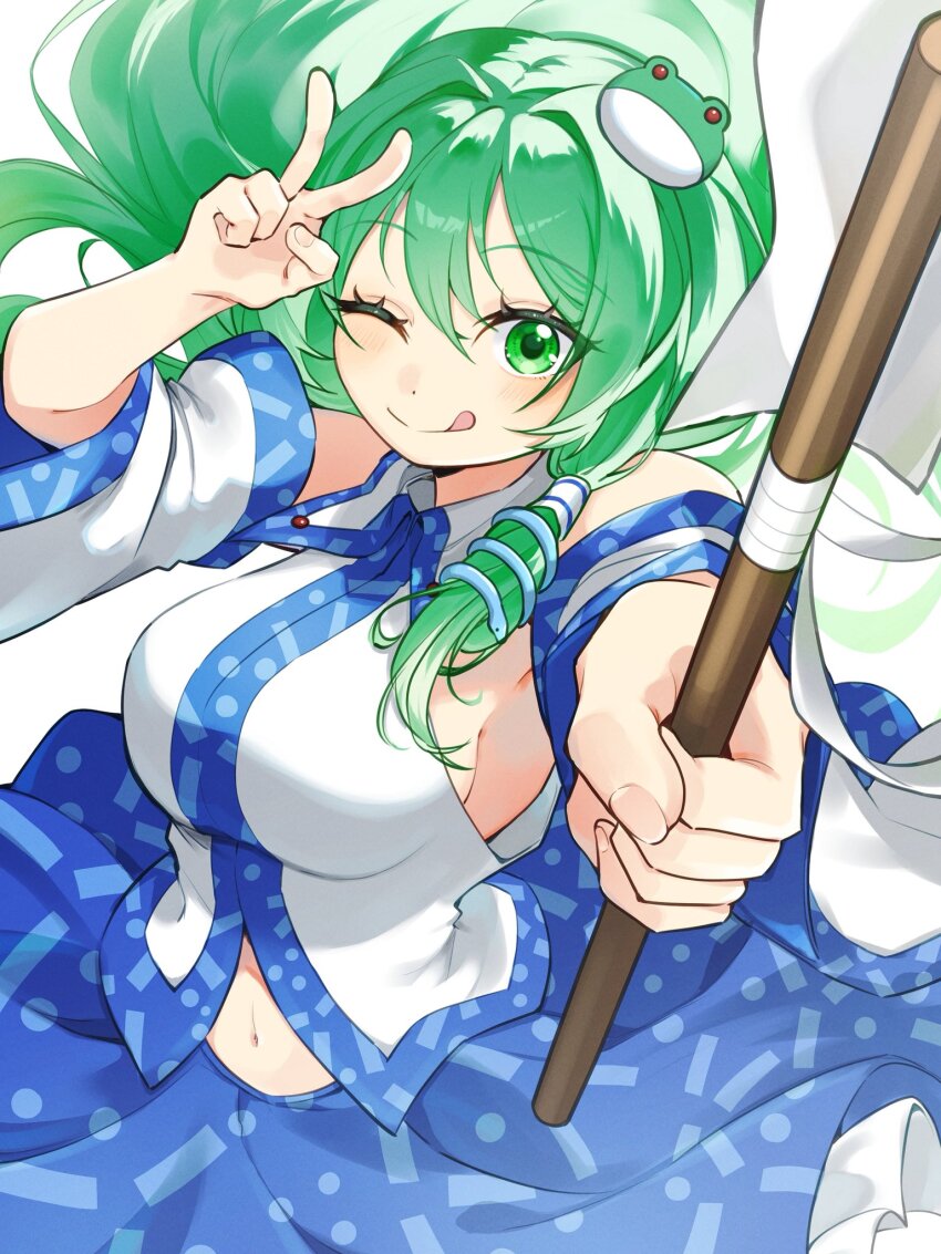 Kochiya Sanae (Touhou) Rule 34 Image