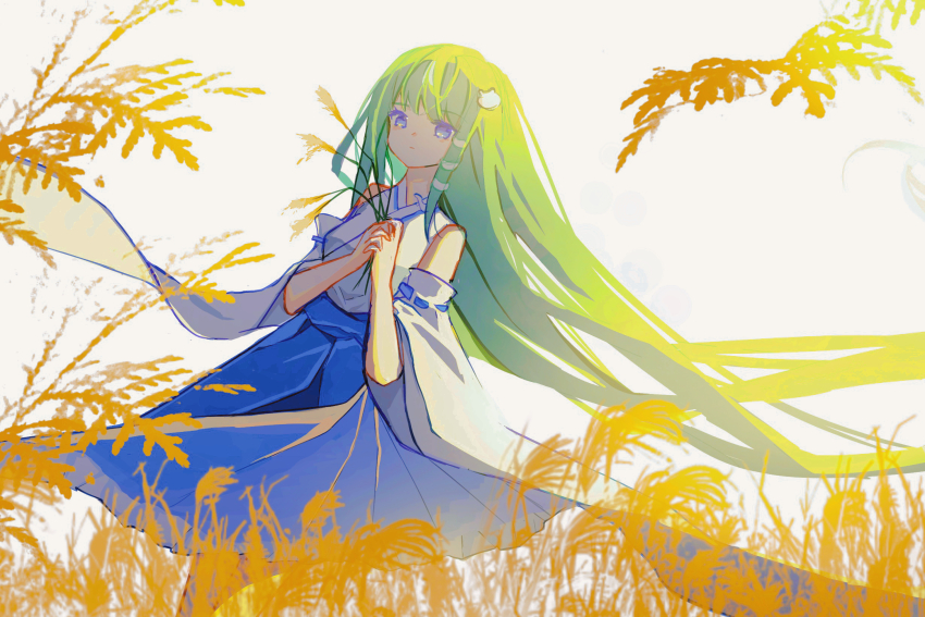 Kochiya Sanae (Touhou) Rule 34 Image