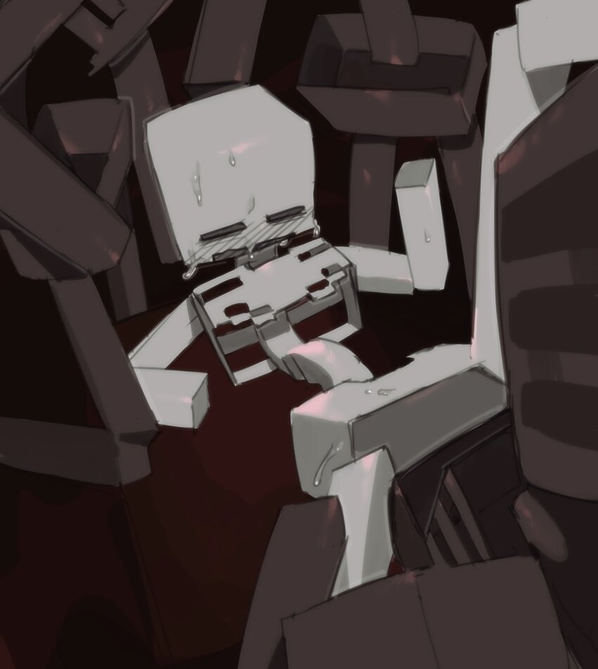 Skeleton (Minecraft) Rule 34 Image