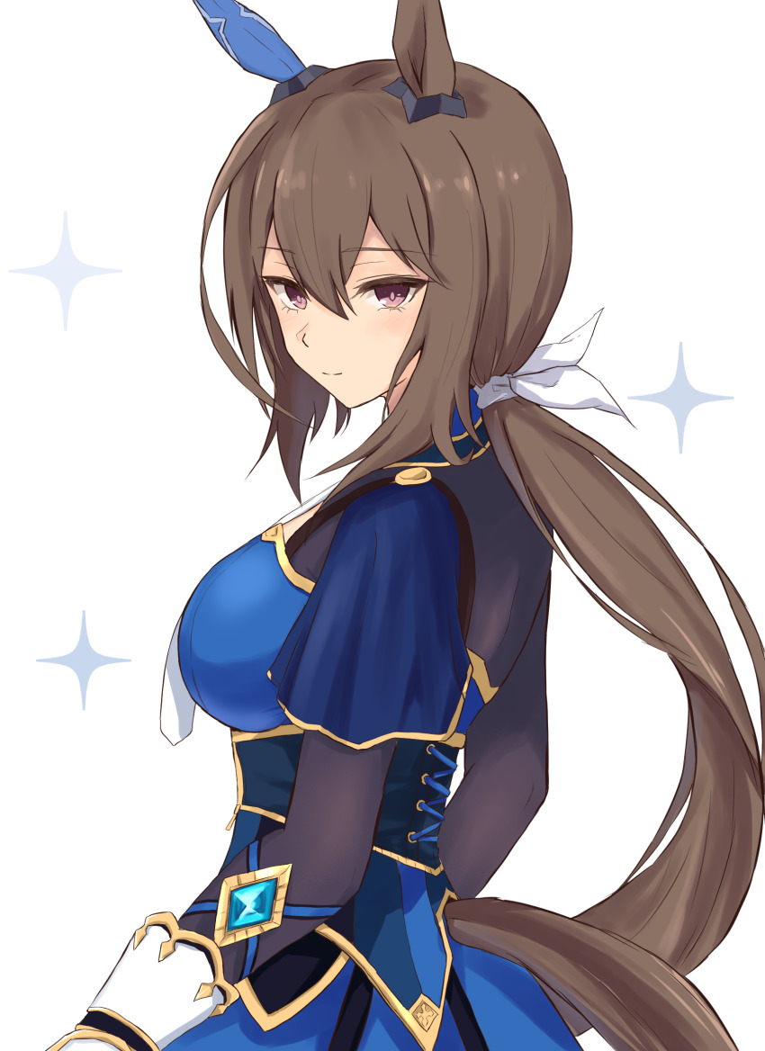 Admire Vega (Umamusume) Rule 34 Image