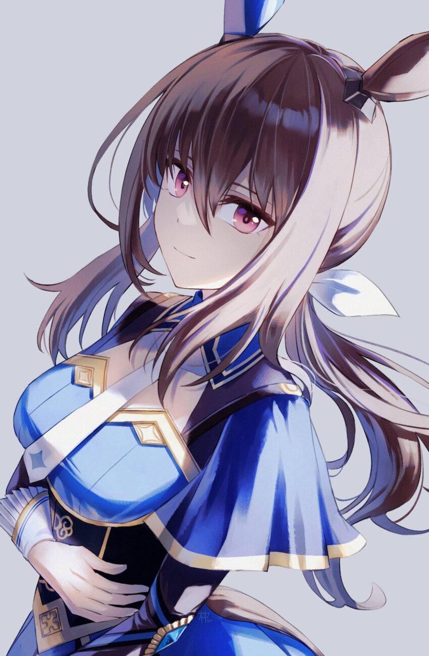 Admire Vega (Umamusume) Rule 34 Image