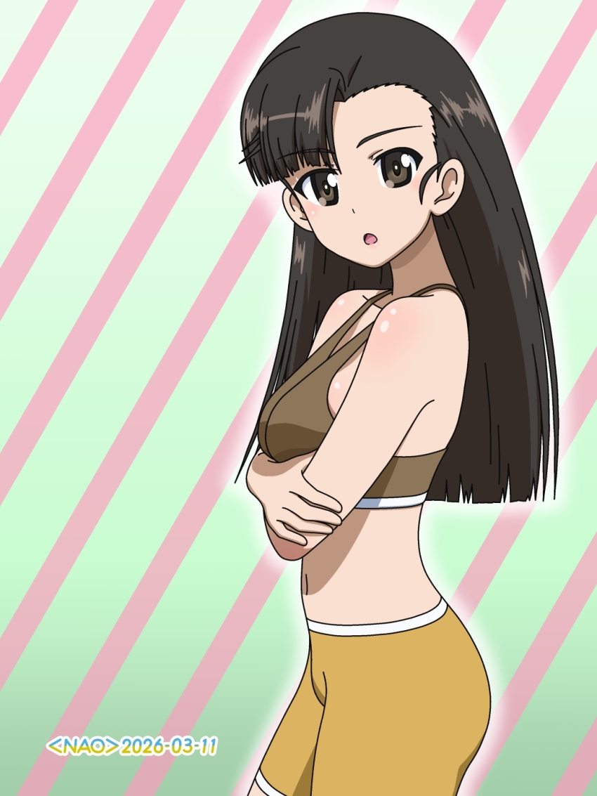Nishi Kinuyo (Girls Und Panzer) Rule 34 Image