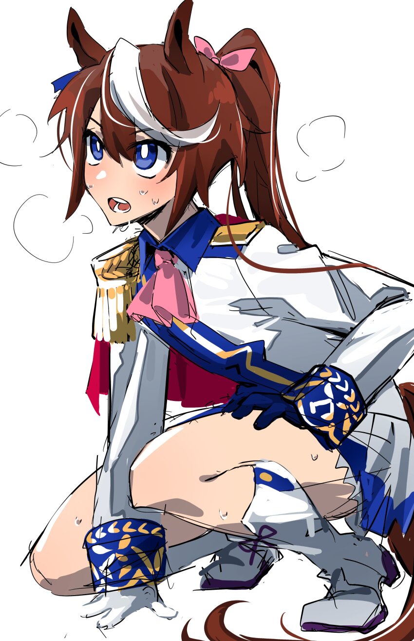 Tokai Teio (Umamusume) Rule 34 Image