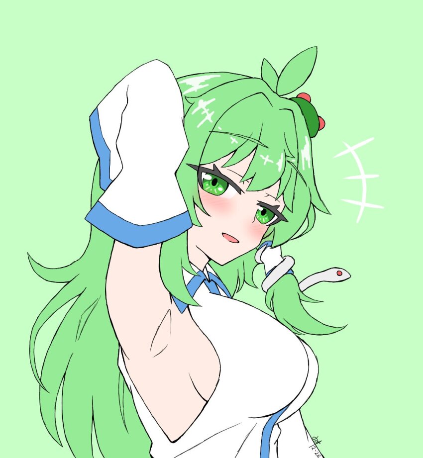 Kochiya Sanae (Mountain Of Faith) Rule 34 Image