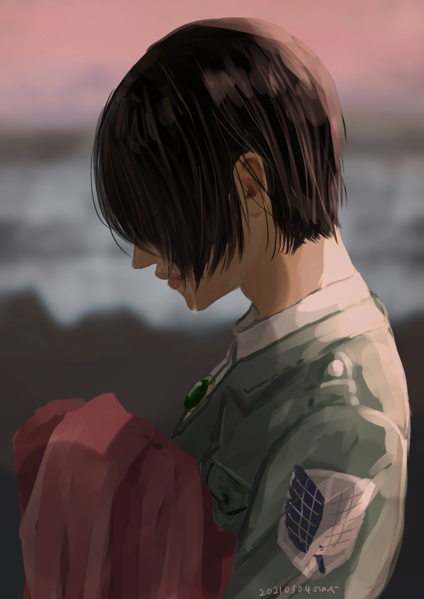 Mikasa Ackerman (Shingeki No Kyojin) Rule 34 Image