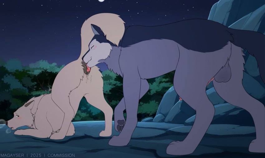 Animal Genitalia Rule 34 Image