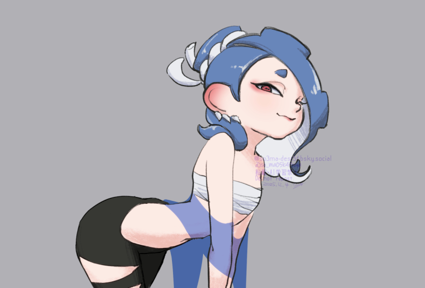 Shiver (Splatoon) Rule 34 Image