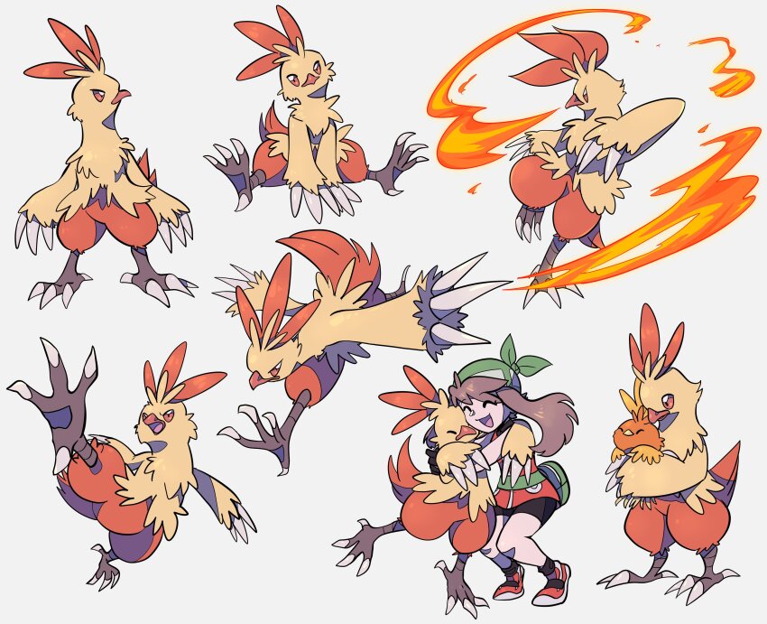Combusken (Nintendo) Rule 34 Image