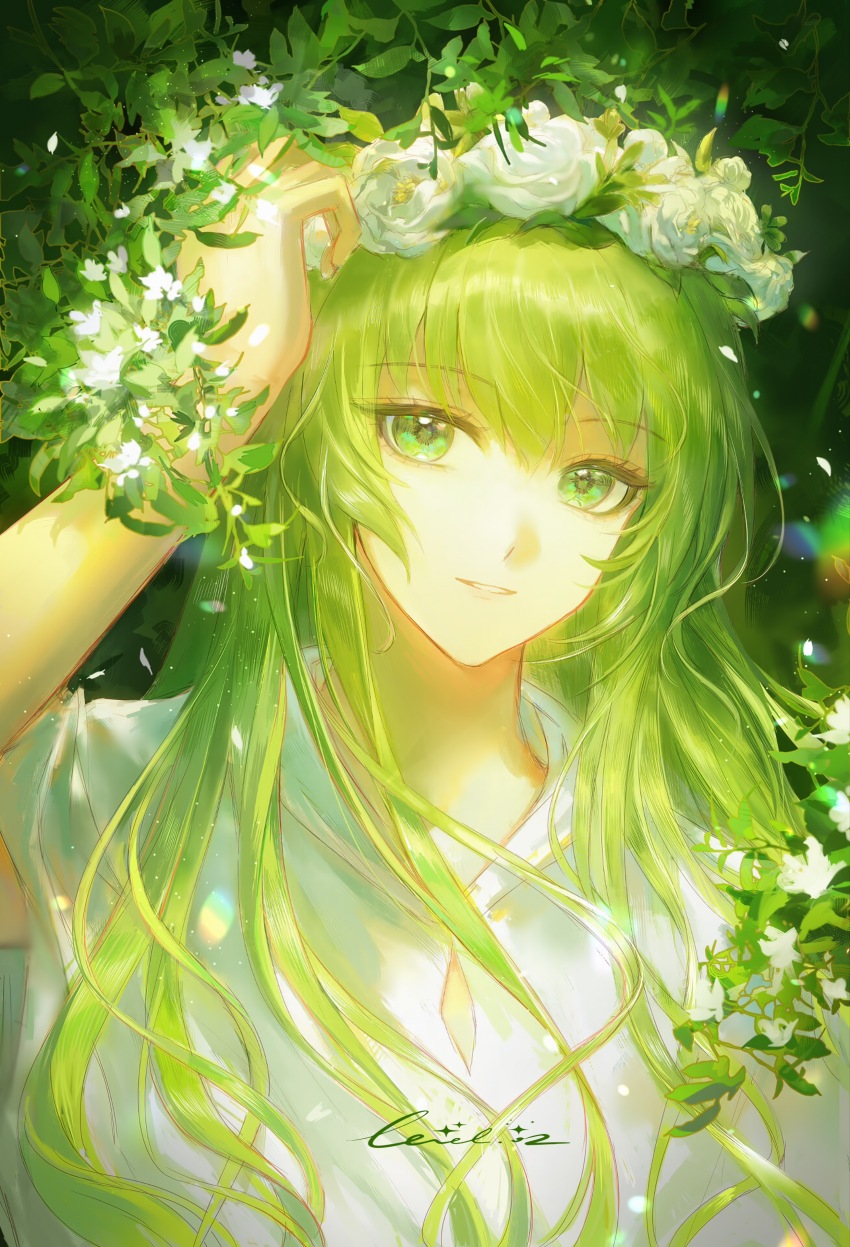 Enkidu (Fate) Rule 34 Image