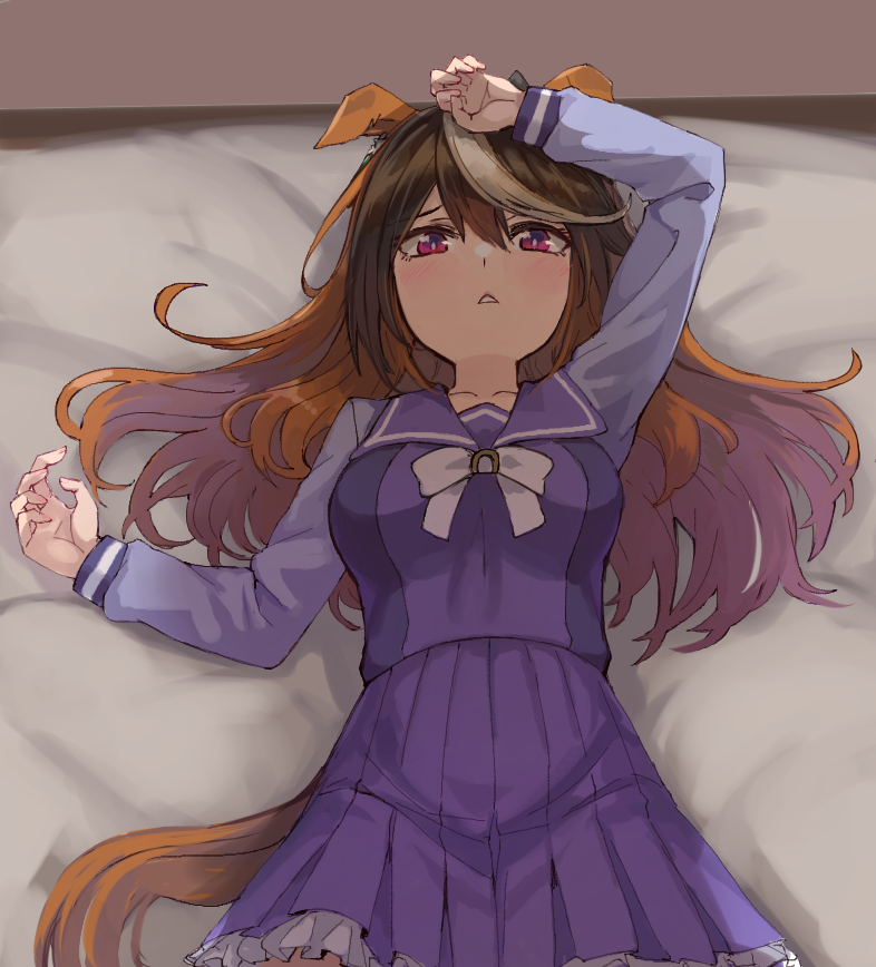 Symboli Rudolf (Umamusume) Rule 34 Image