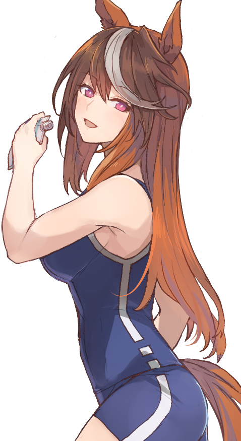Symboli Rudolf (Umamusume) Rule 34 Image