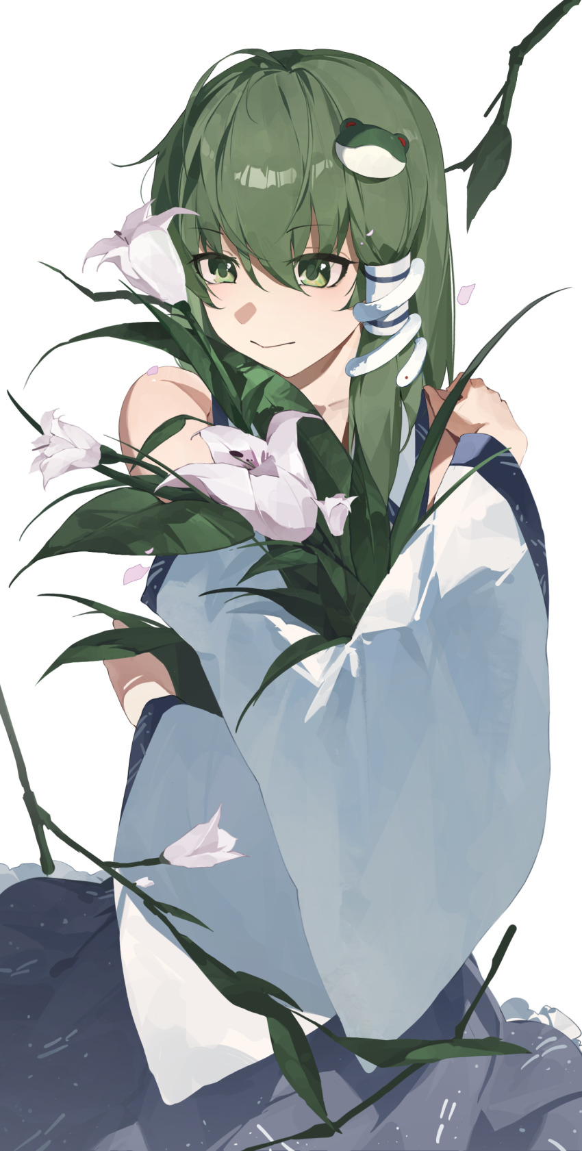 Kochiya Sanae (Touhou) Rule 34 Image
