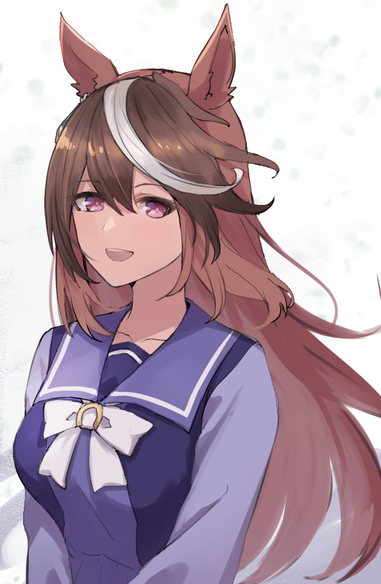 Symboli Rudolf (Umamusume) Rule 34 Image