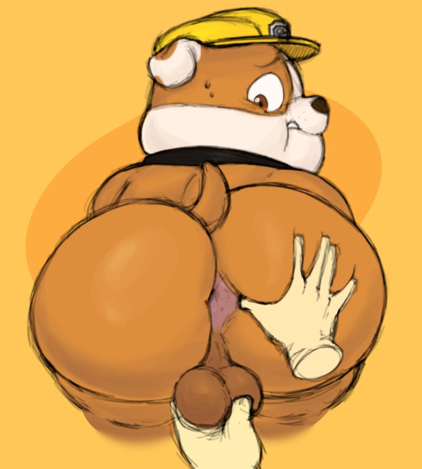 Rubble (Paw Patrol) Rule 34 Image