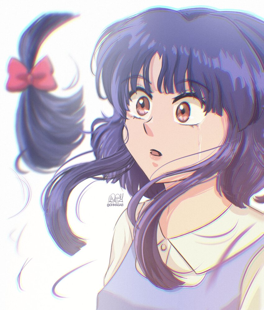 Ranma 1/2 Rule 34 Image