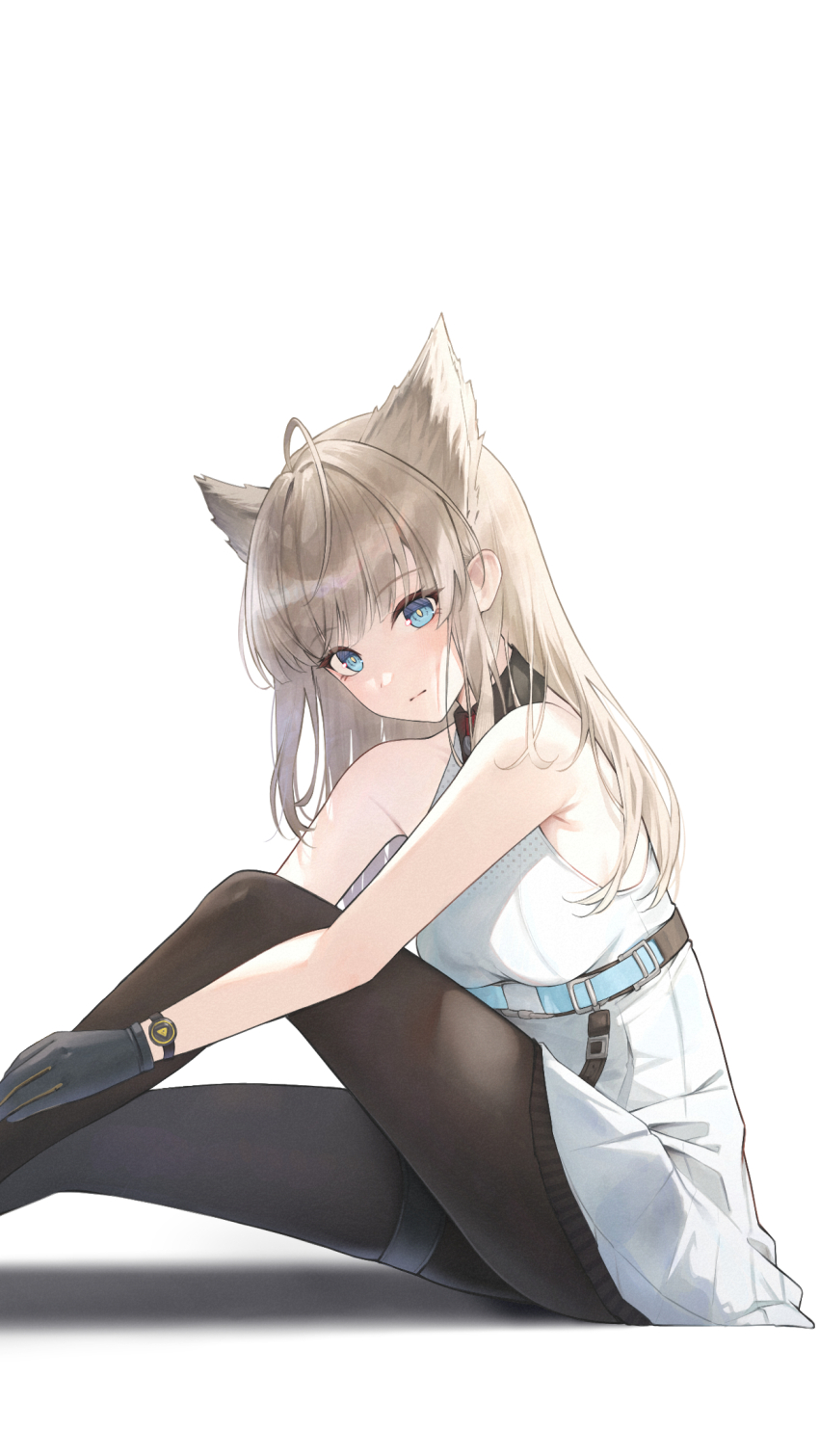 Perlica (Arknights) Rule 34 Image