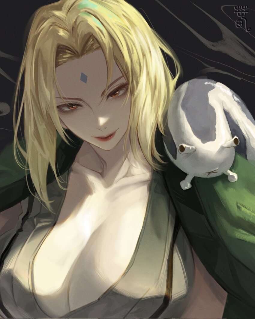 Tsunade (Naruto) Rule 34 Image
