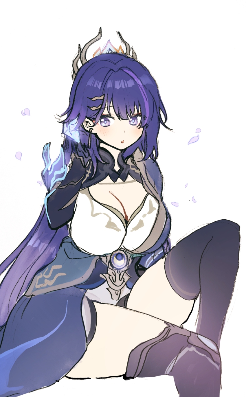 Raiden Mei (Honkai (Series)) Rule 34 Image