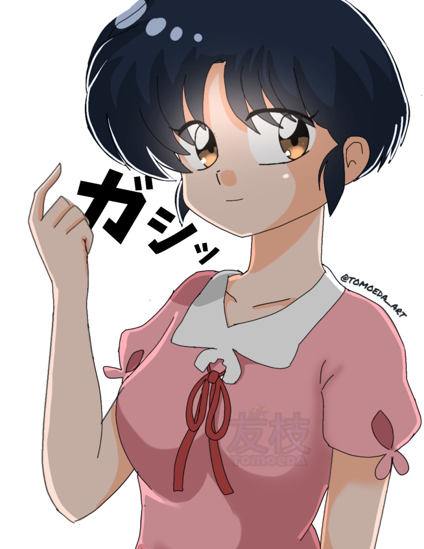 Mizuhara Chizuru (Ranma 1/2) Rule 34 Image
