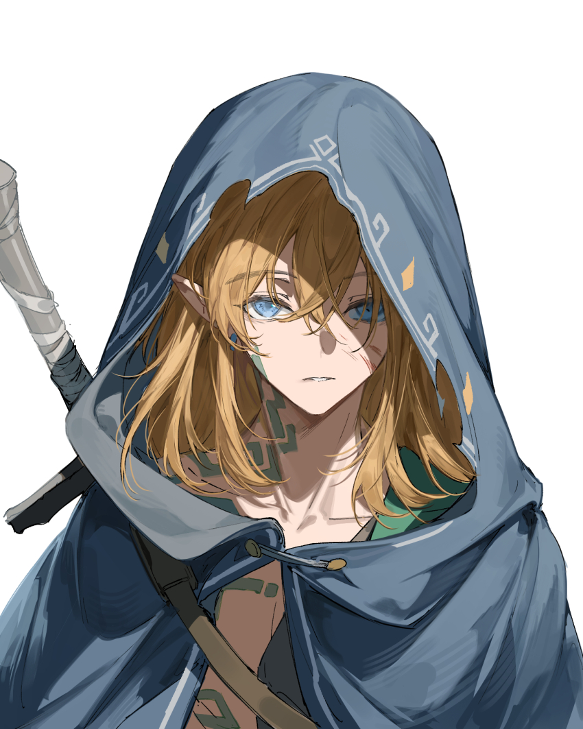 Link (Nintendo) Rule 34 Image