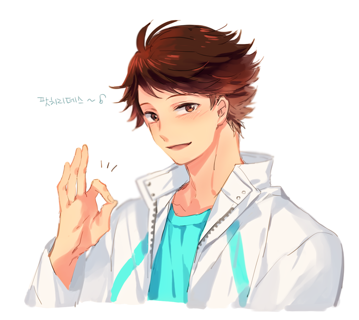 Oikawa Tooru (Haikyuu!!) Rule 34 Image