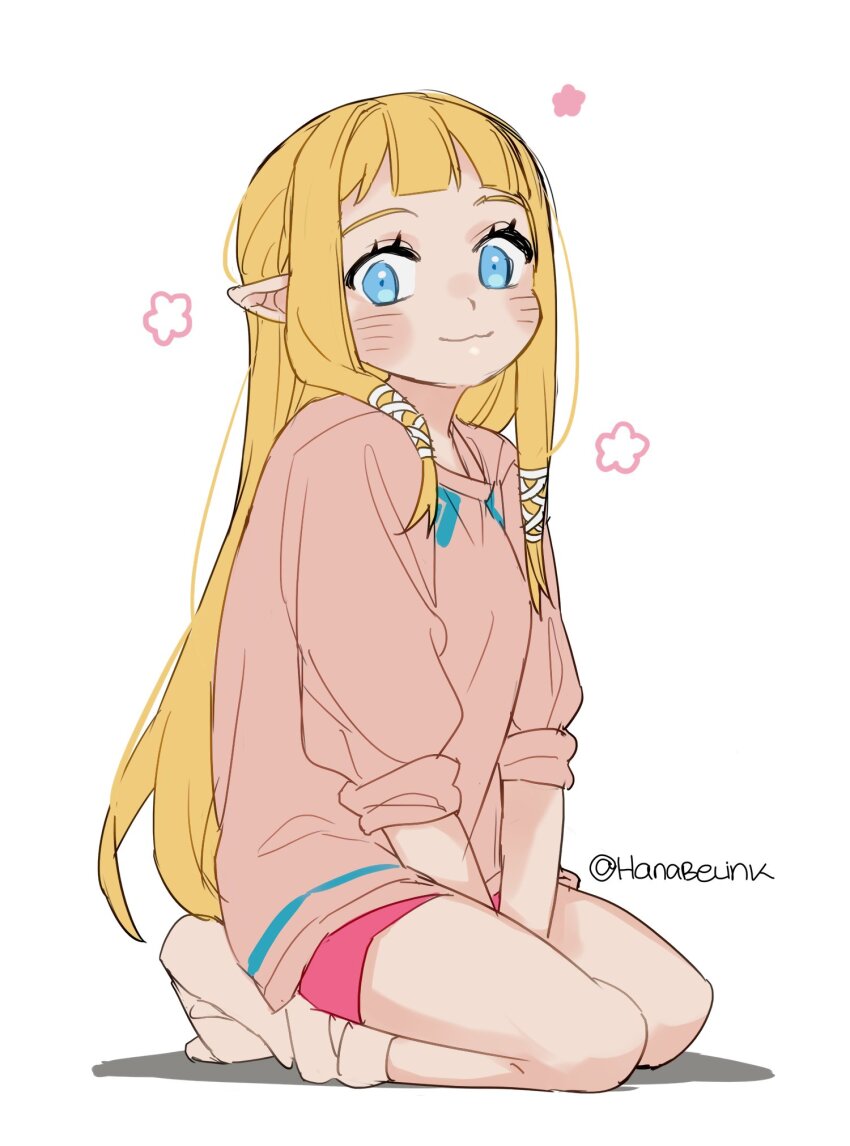 Princess Zelda (Nintendo) Rule 34 Image