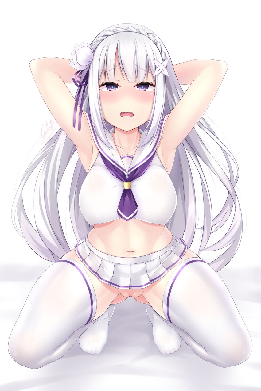 Emilia (Re:Zero) Rule 34 Image