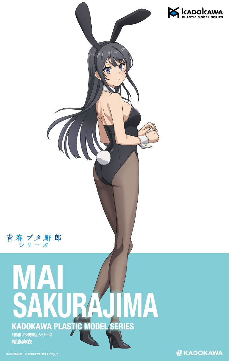 Sakurajima Mai (Seishun Buta Yarou) Rule 34 Image