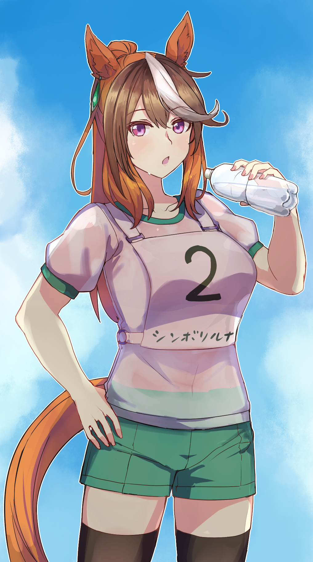 Symboli Rudolf (Umamusume) Rule 34 Image