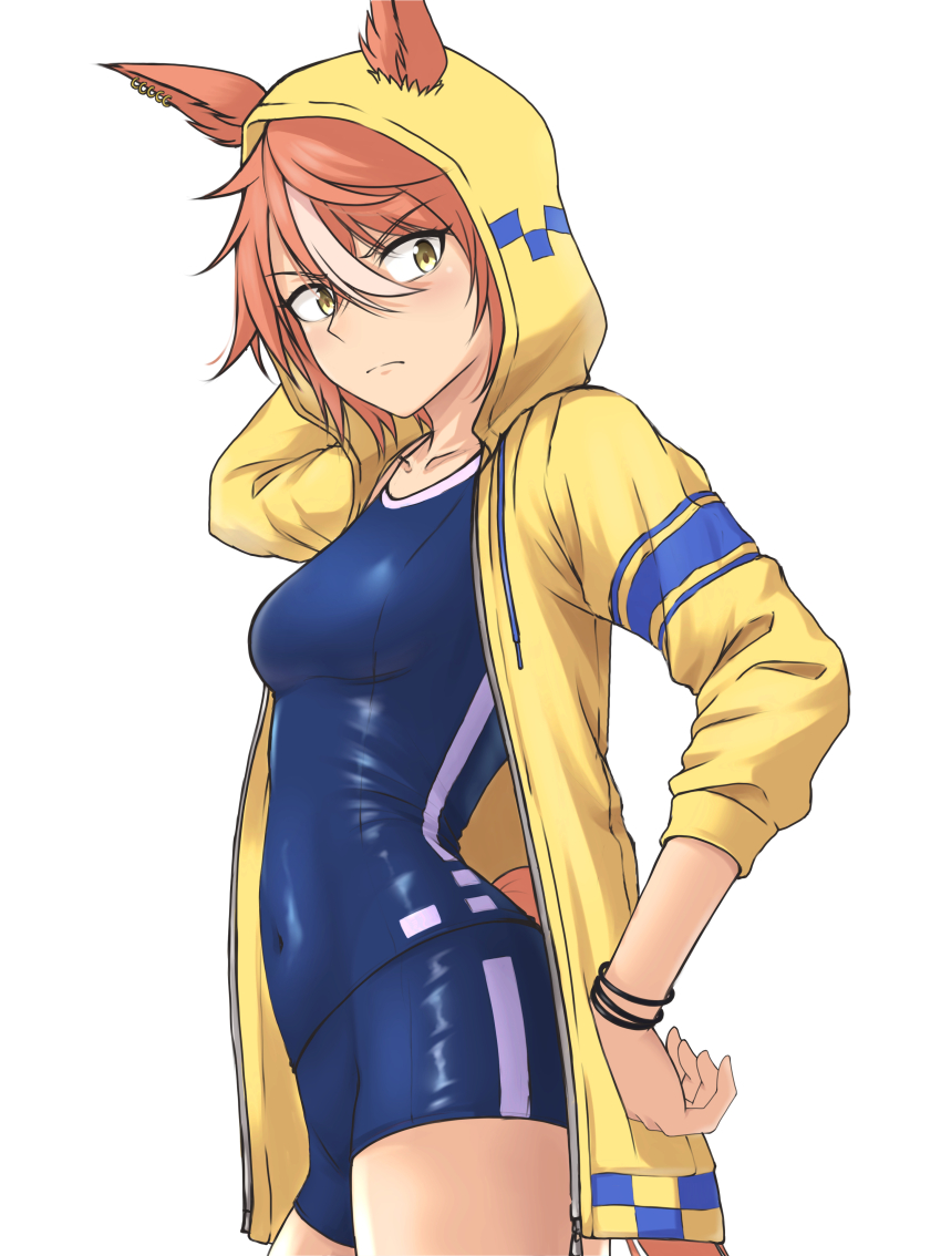 Dicta Striker (Umamusume) Rule 34 Image