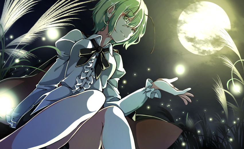 Wriggle Nightbug (Touhou) Rule 34 Image