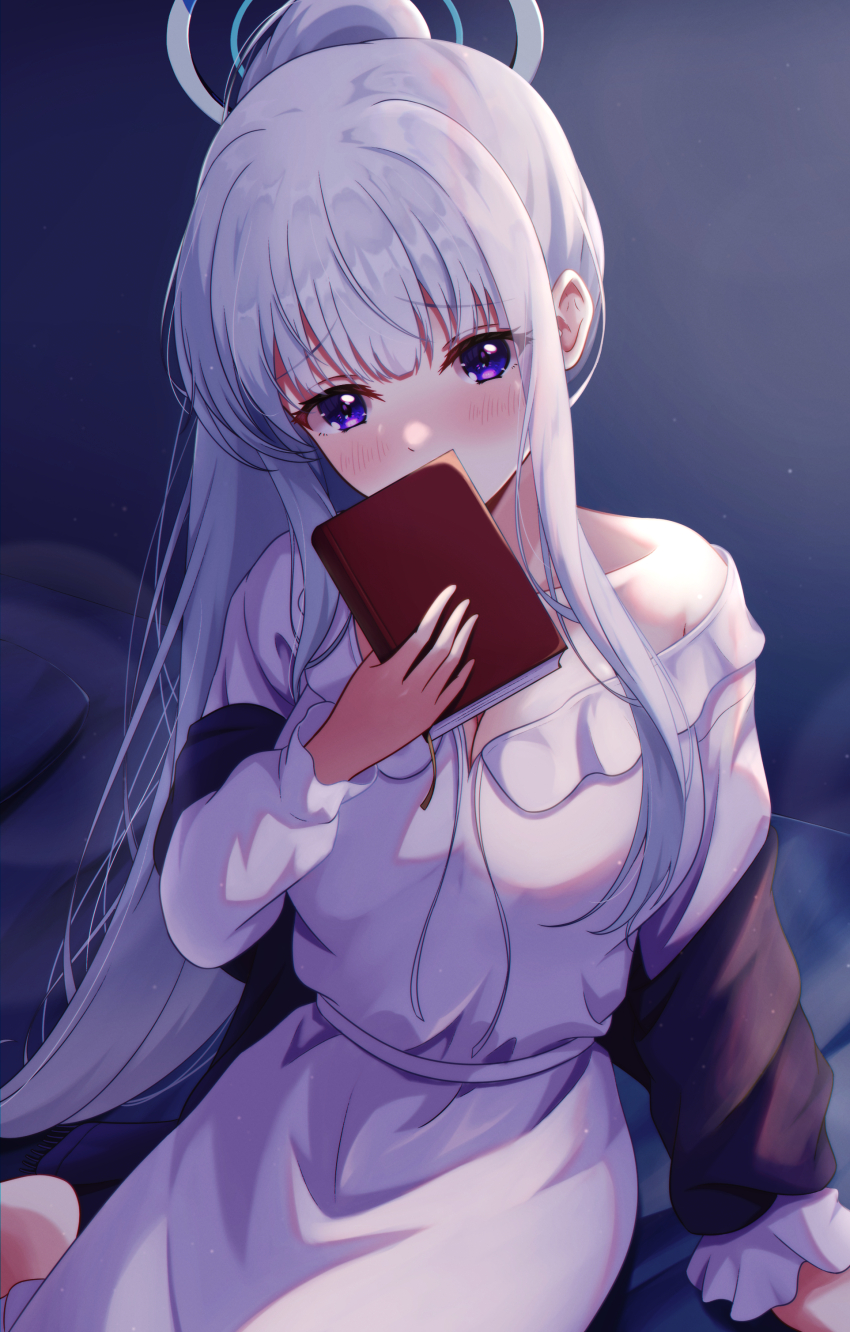 Noa (Blue Archive) Rule 34 Image