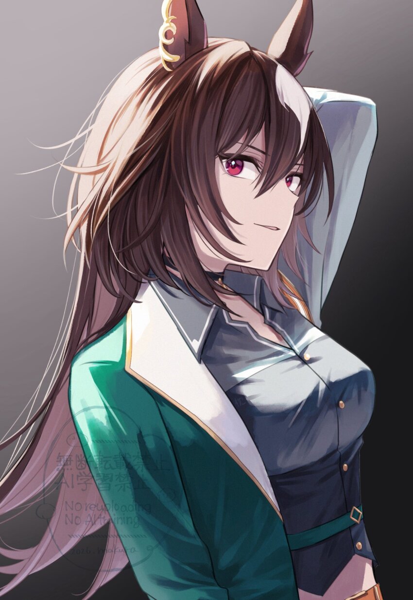 Sirius Symboli (Umamusume) Rule 34 Image