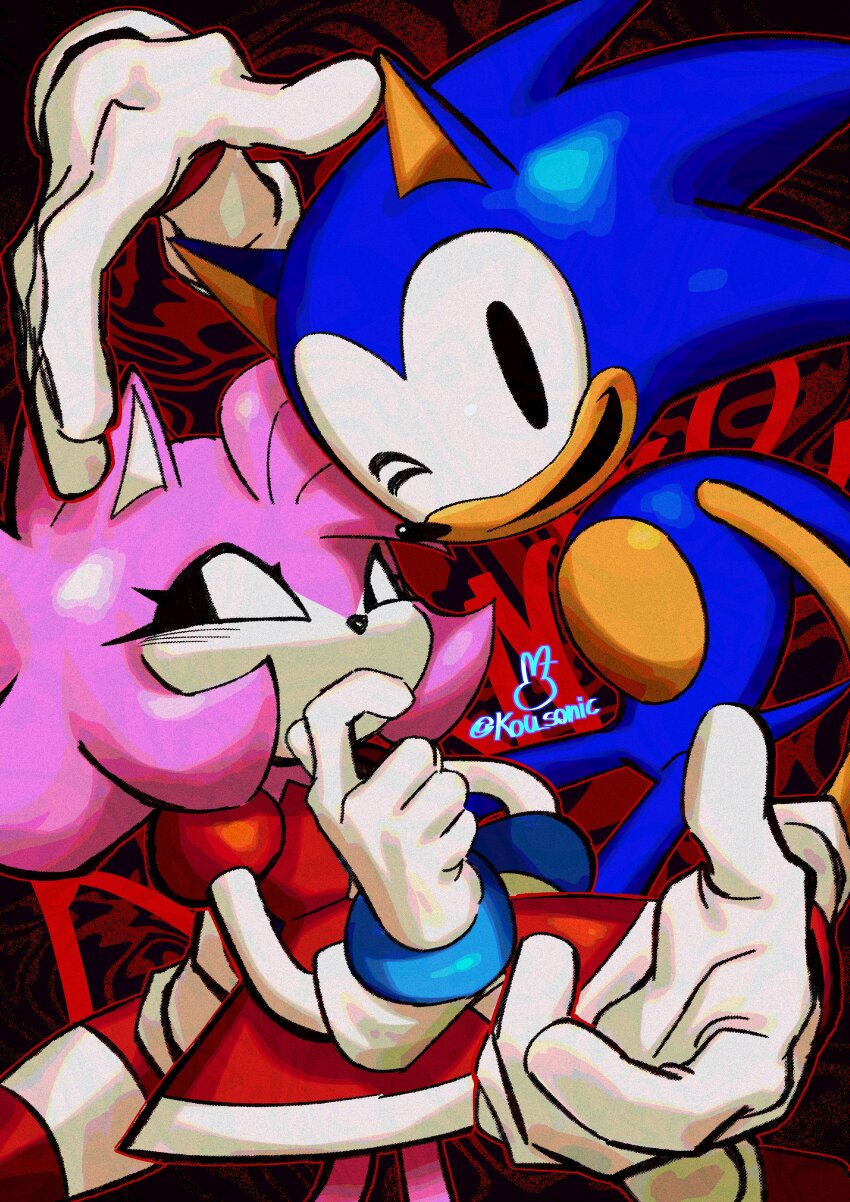 Amy Rose (Sonic (Series)) Rule 34 Image