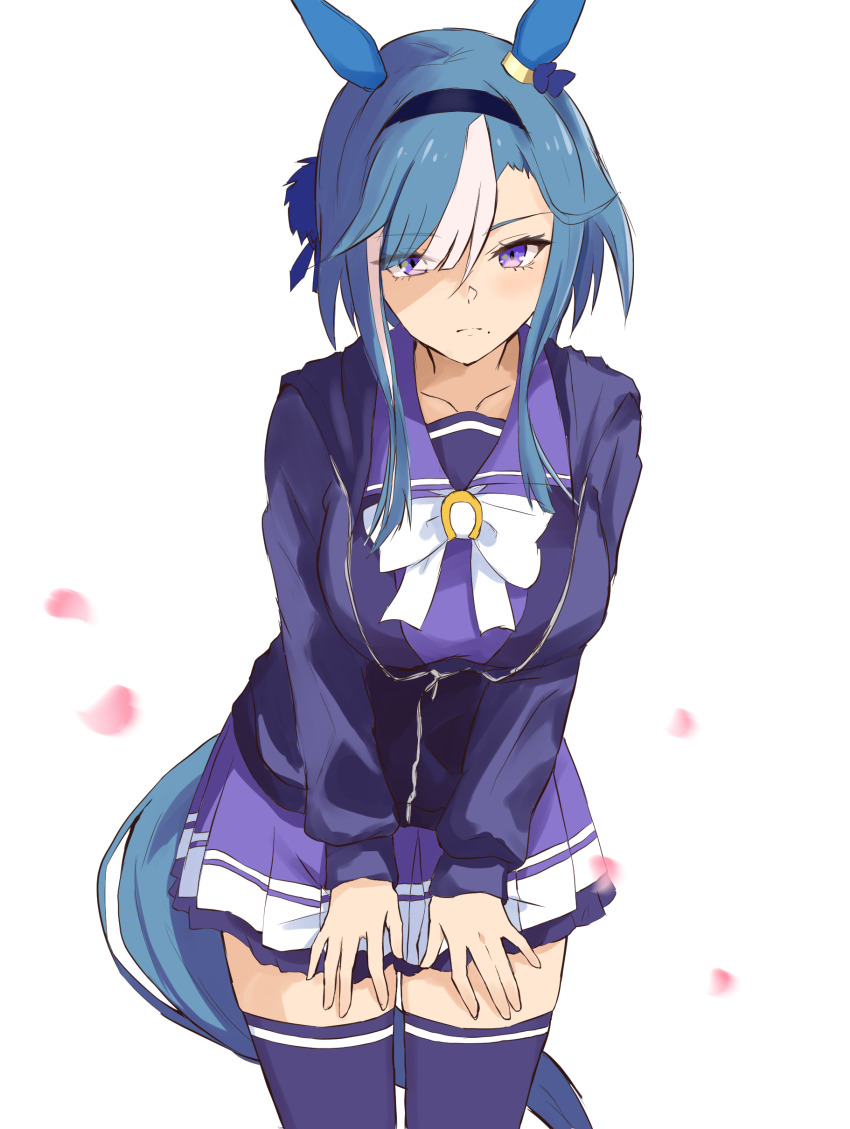 Admire Groove (Umamusume) Rule 34 Image