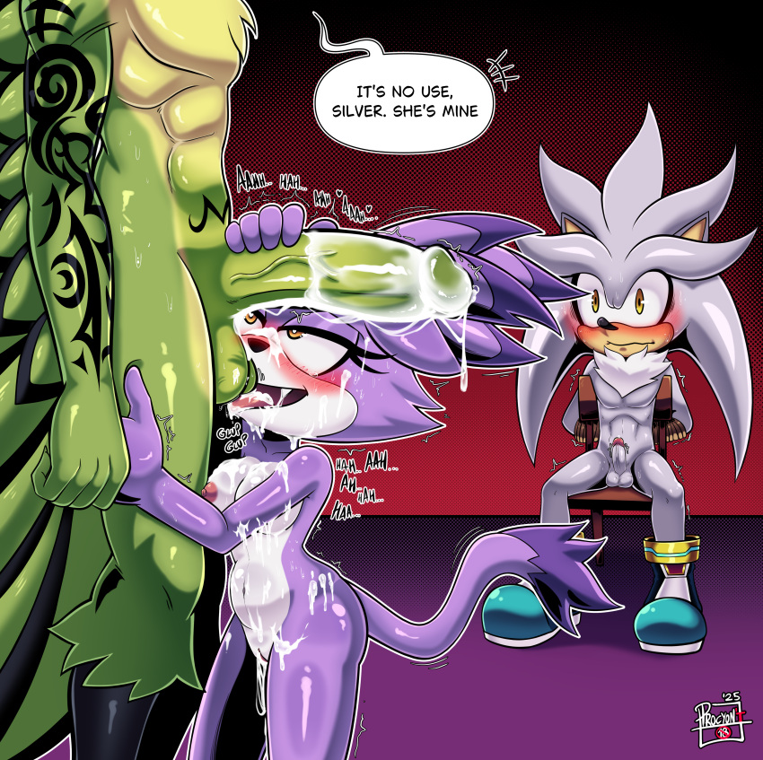 Blaze The Cat (Sega) Rule 34 Image