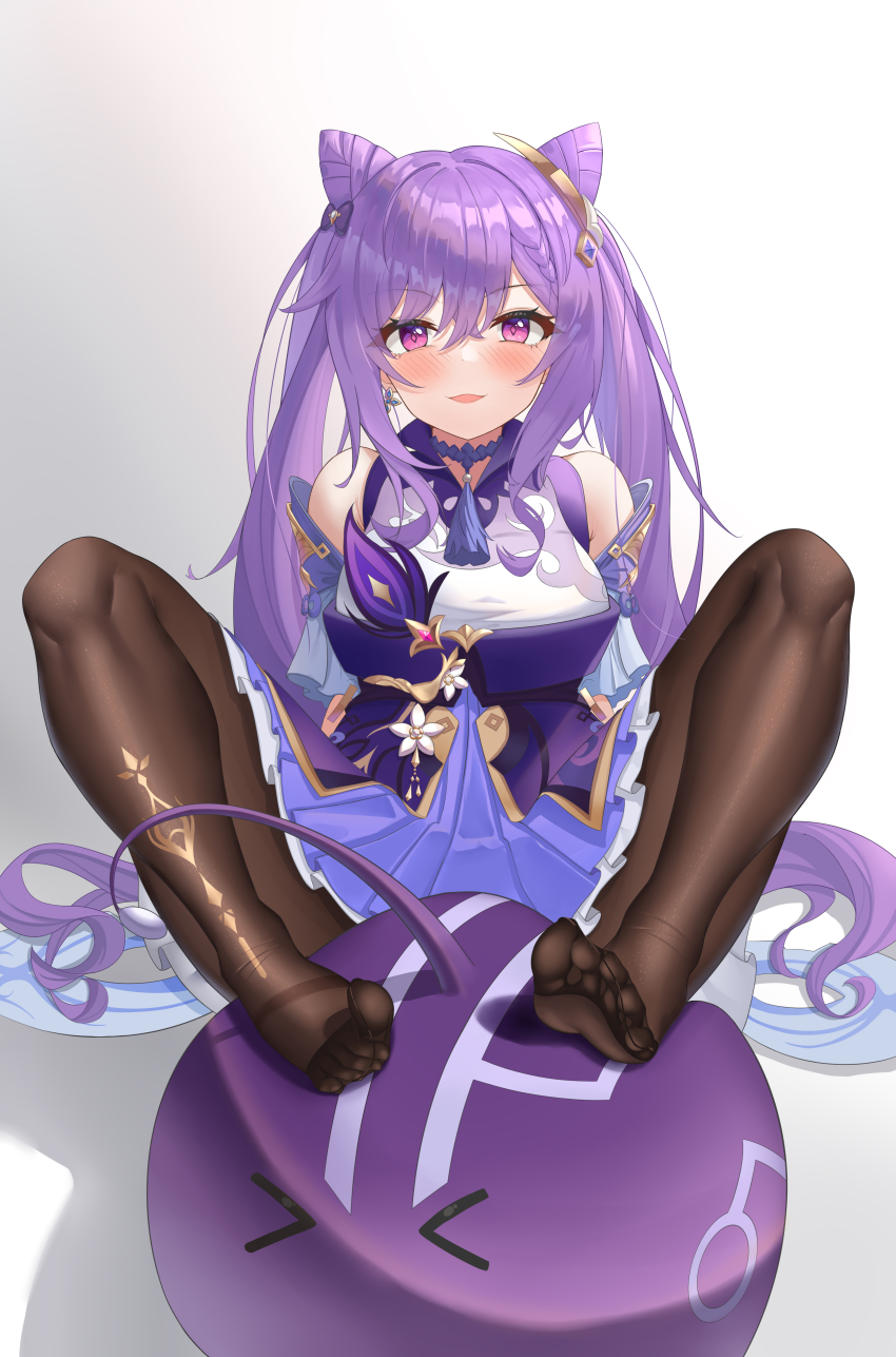 Keqing (Genshin Impact) Rule 34 Image
