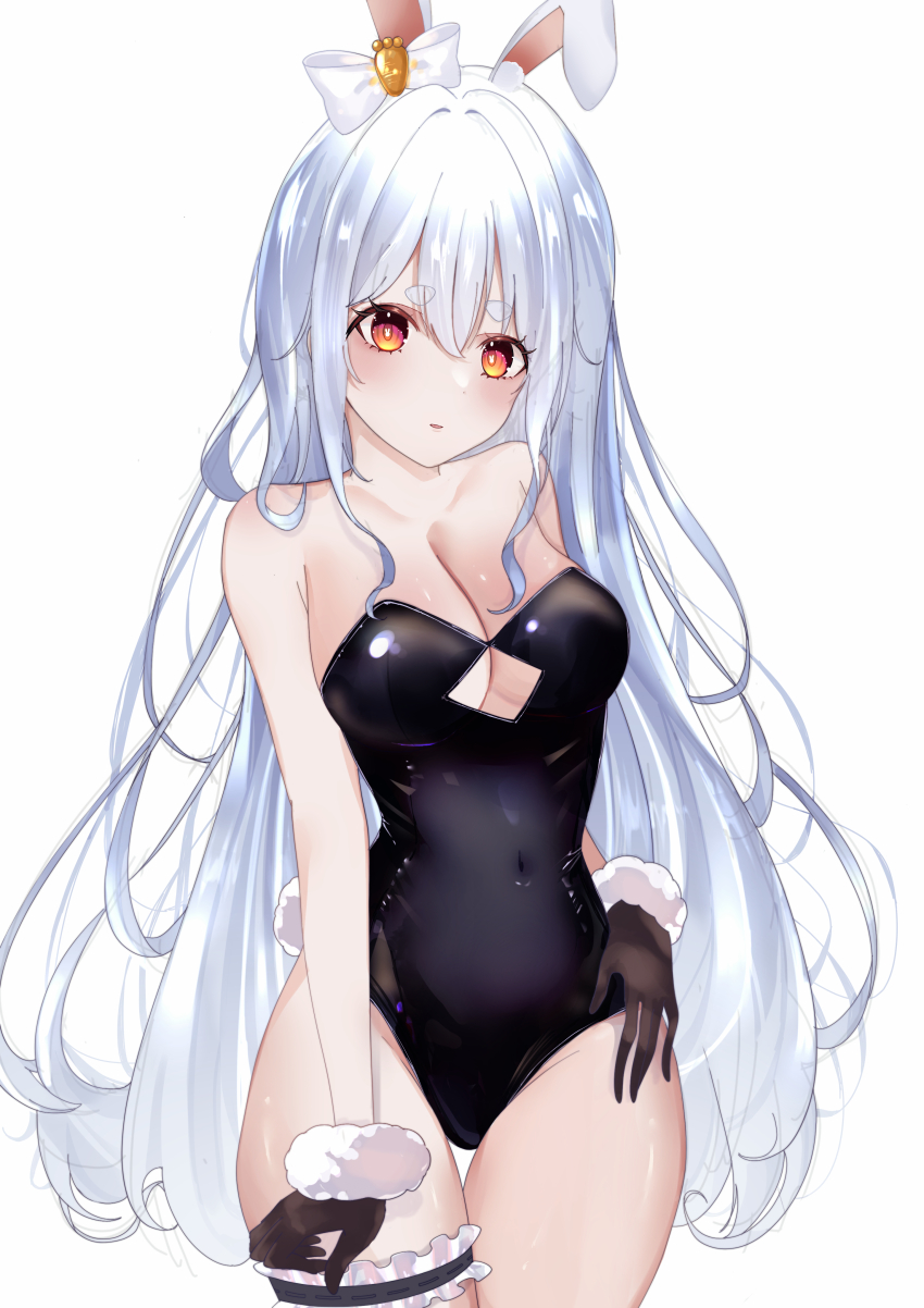 Usada Pekora (Hololive) Rule 34 Image