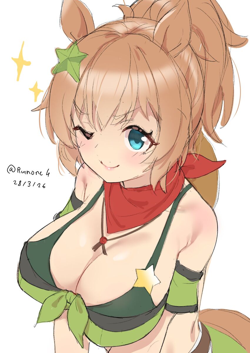 Taiki Shuttle (Umamusume) Rule 34 Image