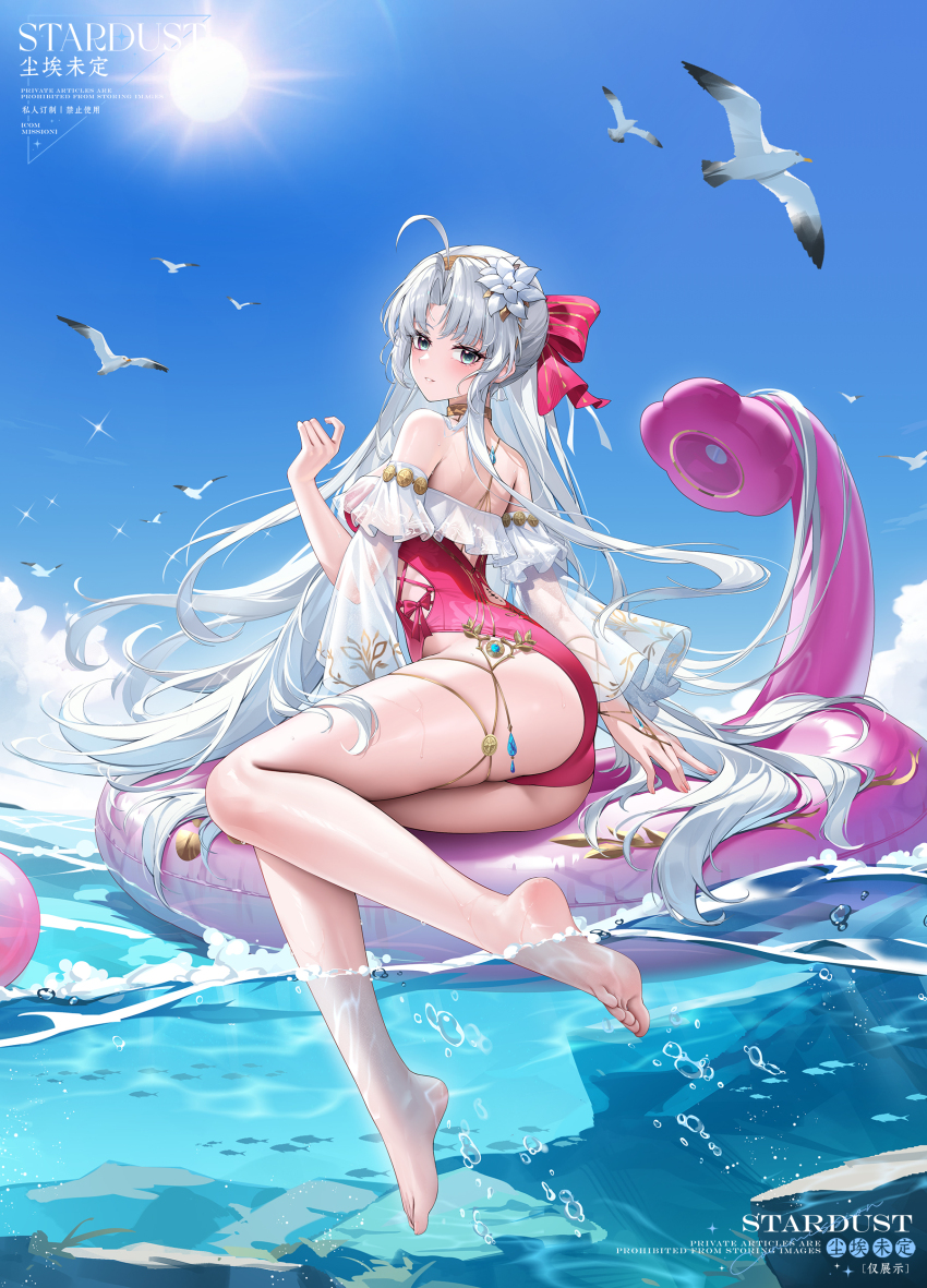 Carlotta (Splashing Summer) (Wuthering Waves) Rule 34 Image