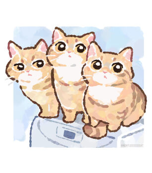 Animal Rule 34 Image