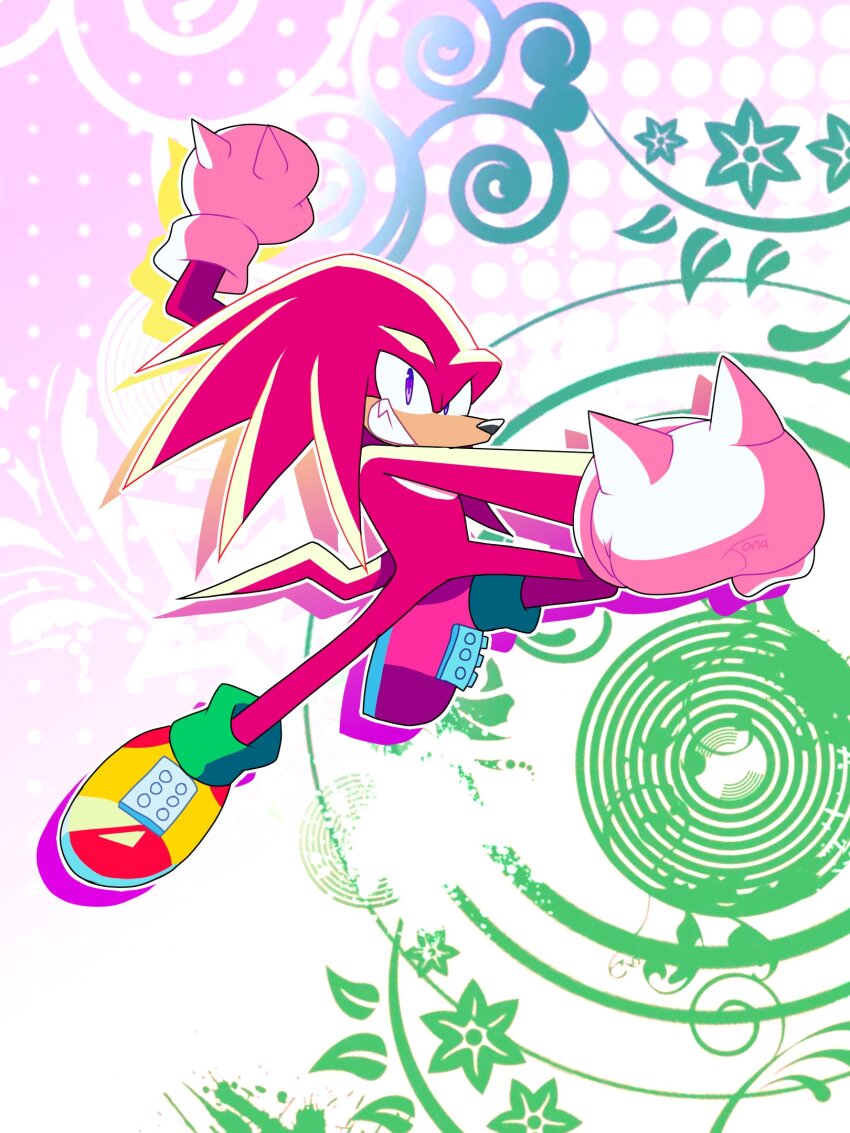 Knuckles The Echidna (Sonic (Series)) Rule 34 Image